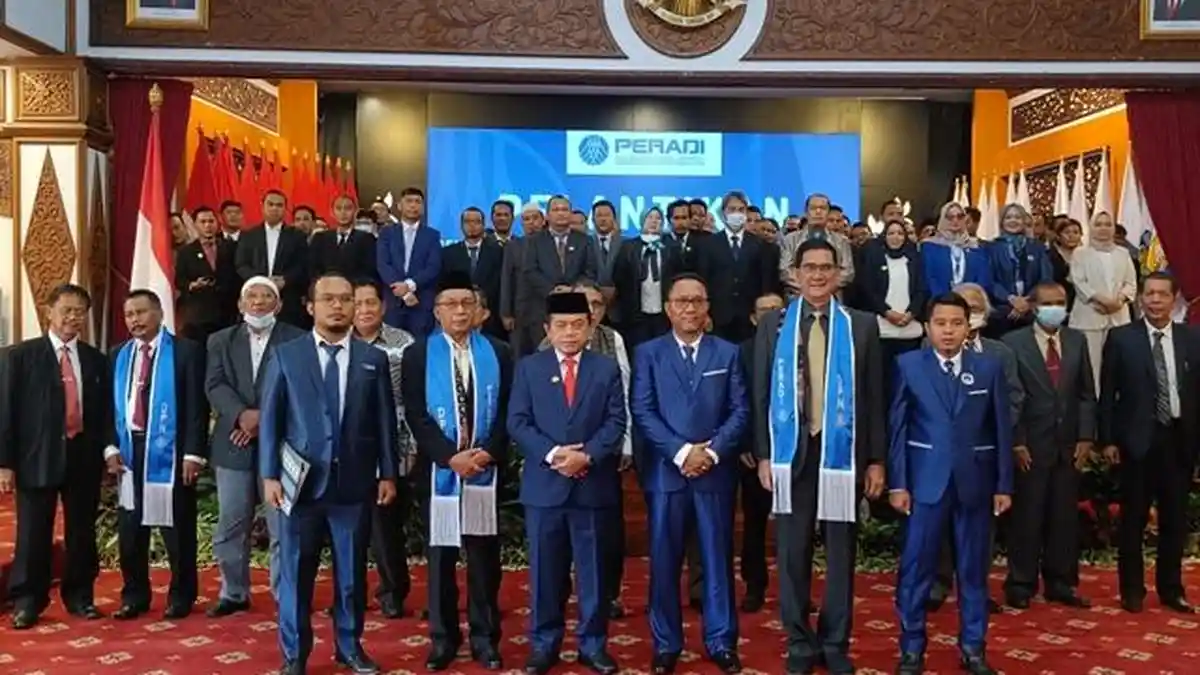 Struktur Organisasi PERADI DKI